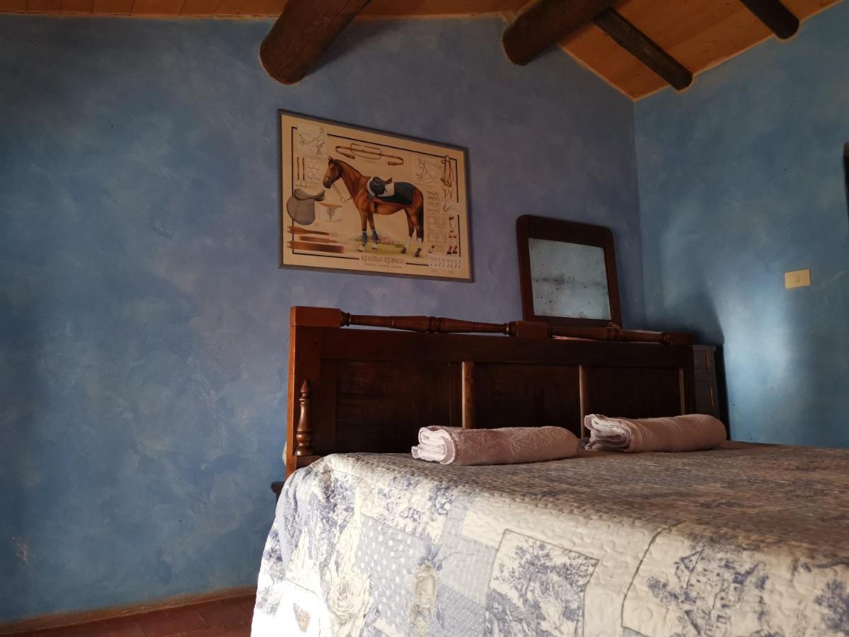 Daina Bianca Bed and Breakfast Solignano Buitenkant foto