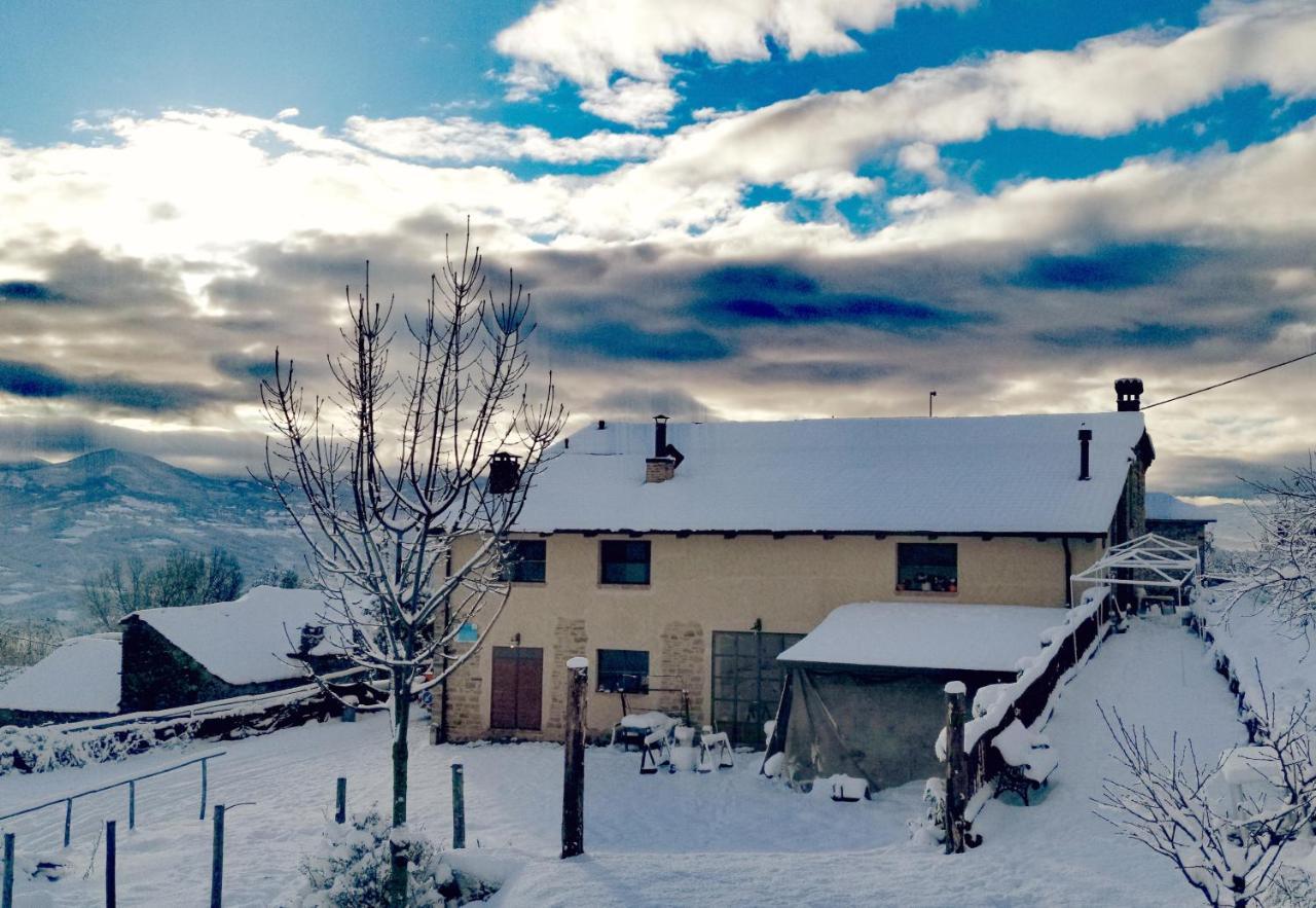 Daina Bianca Bed and Breakfast Solignano Buitenkant foto